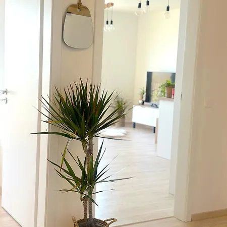 Apartment New In The With Parking Option *