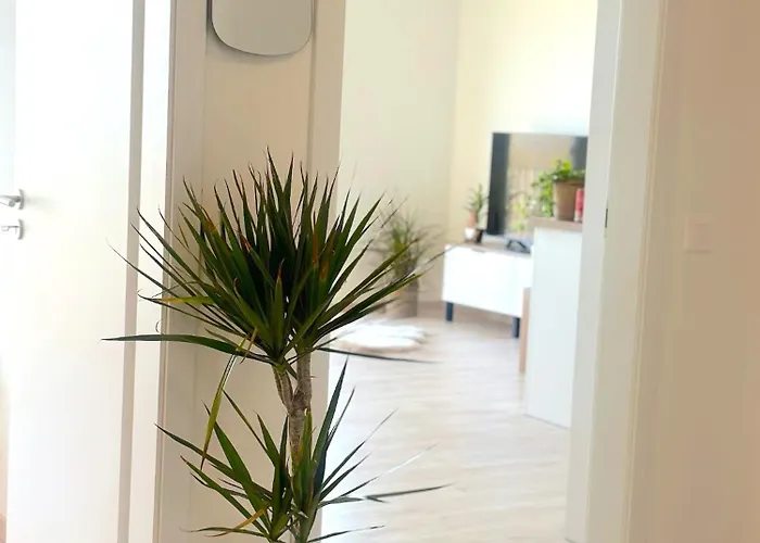 Apartamento New In The With Parking Option *